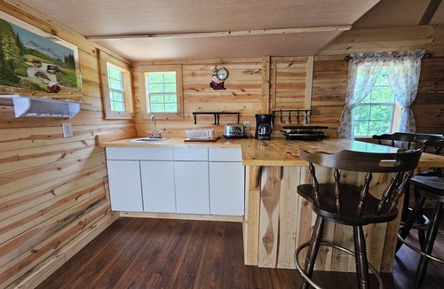 Freeman Cabin | 1 BR/1BR Lofted Cabin West Virginia Hatfield McCoy ATV Trails
