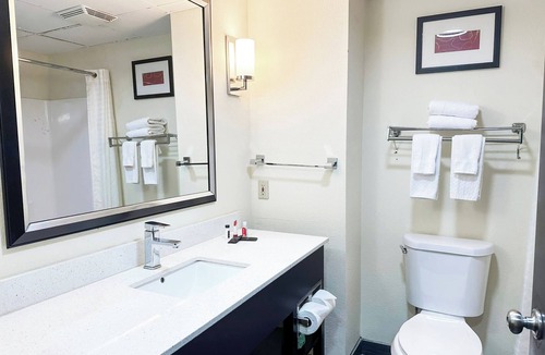 Mount Berry Hotel | 2 Rooms | Double Queen Comfort | Relaxing Rome Stay Close to Dining
