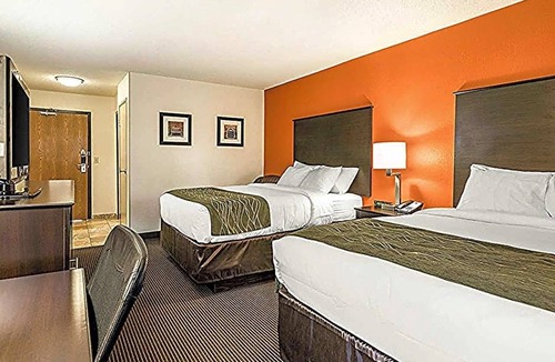 Kalamazoo Hotel | 2-Star Hotel ∙ Comfort Inn Wings Stadium