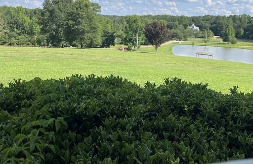 Langston Mile Village Villa | 4BR Lakeside Villa. Minutes from Ole Miss campus and The Square