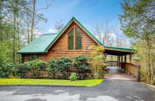 Black Bear Falls Cabin | "A Black Bear's Den" Great family fun!