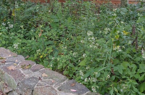 Chester Gap Cottage | A mountain retreat, solitude for singles, a romantic getaway for couples...