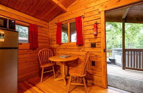 Rileyville Cabin | Adorable river front cabin ,with hot tub on the River