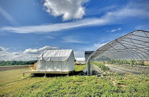 Spring Hill RV Rental | Allenbrooke Farms Glamping Tent 1