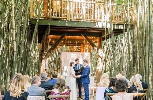 Atlanta House | Alpaca Treehouse in the Bamboo Forest