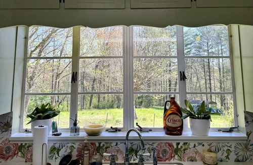 Brevard Cottage | Alpaca Your Bags! Unique Mountain Basecamp in Brevard- Pet Friendly- WNC Cottage