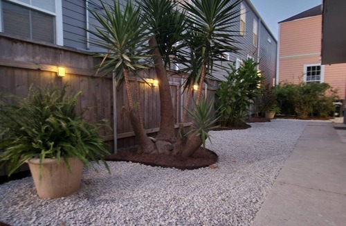 Carrollton Apartment | Audubon House Apt. 2: 2bd/1ba