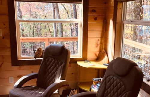 Guild Cabin | BARN OWL INN · NO SUNDAY CHECK INS , HOTTUB- TREEHOUSE