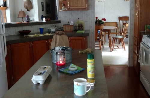 Fountain House | Beachfront retreat on beautiful Tallman lake near HuronManistee National Forest.