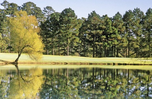 Hot Springs Village Apartment | Beautiful 1 bedroom unit at resort, sleeps 4