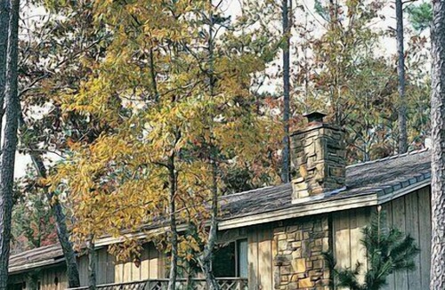 Hot Springs Village Apartment | Beautiful 1 bedroom unit at resort, sleeps 4