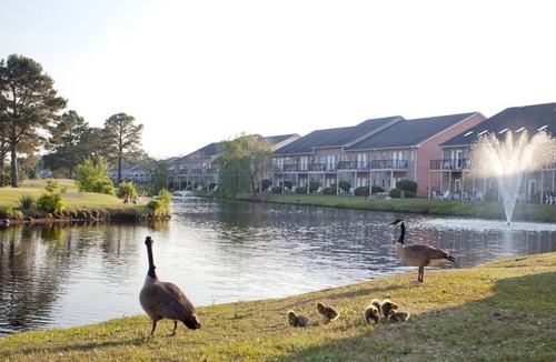 Surfside Beach Apartment | Beautiful 2 bedroom unit at resort, sleeps 8