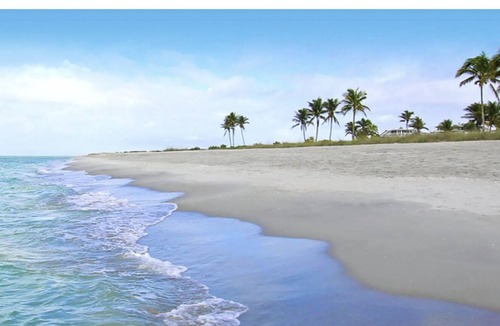 Palm River Estates House | Beautiful Coral House!