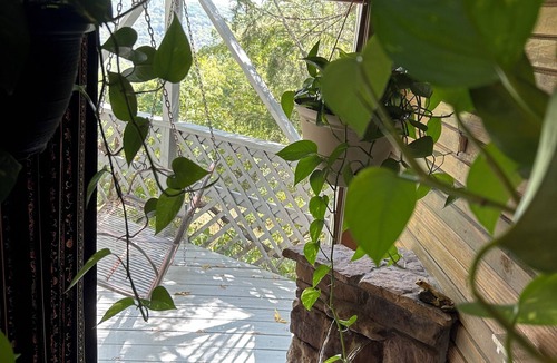 Eureka Springs Cottage | Best Views in Eureka Springs from this Mountain Cabin with Full Glass Front