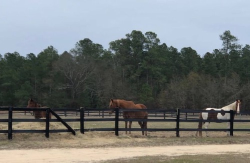 Aiken Other | Big Sky Ranch