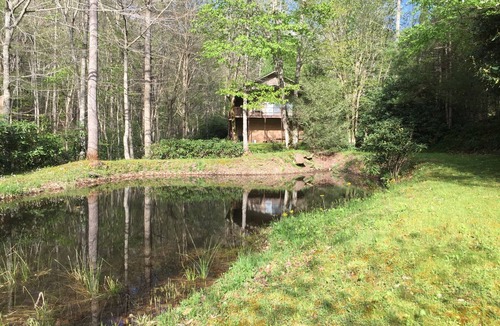 Barnardsville House | Black Bear cabin by the creek