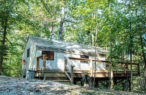Primrose RV Rental | Blue Heron's Nest - Glamping Tent in the Gorge