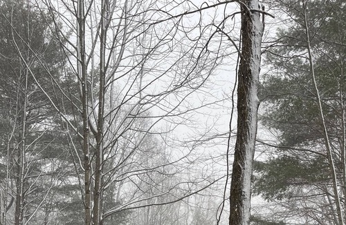 Fancy Gap Cabin | Blue Ridge Cabin Hideaway