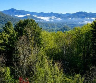 Waynesville House | Blue Spruce Retreat with Firepit & Mountain Views - Family Friendly