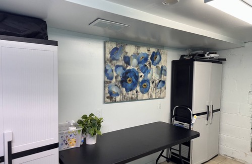 Ypsilanti Apartment | Bright And Newly Remodeled Apartment Near Emu 1 2 Bedroom Apts