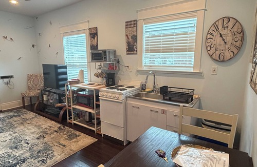 Leonidas Apartment | Bright, Roomy, Private 1/1 in Historic Riverbend
