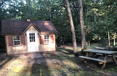 Branch Cabin | Brown Bear Bunker-All Seasons Log Cabin Retreat -Relax, Swim, Hike, ATV and Fish