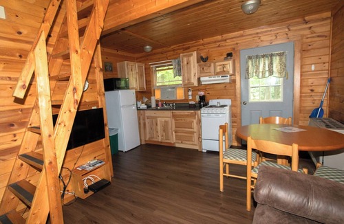 Gaylord House | Cabin 2301 - Cute Log Cabin inside Private Resort