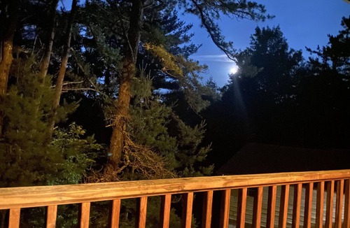 Fries Cabin | Cabin 6 Fall asleep to the sound of the New River's Song