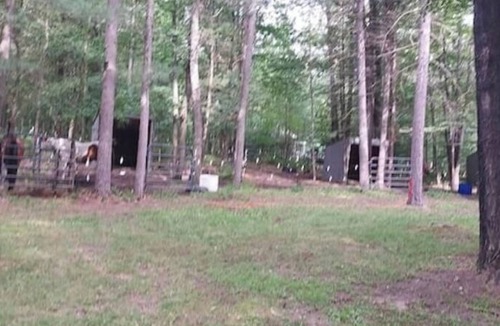 Mio Cabin | Cabin in Mio! Tubing, Hiking, & ORV get away! By Ausable river & National Forest