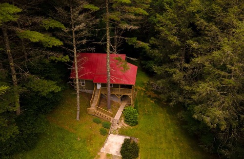 Mustoe Cabin | CABIN MINS TO SNOWSHOE-RESORT,BIKING,HIKING,MOTORCYCLE RIDING