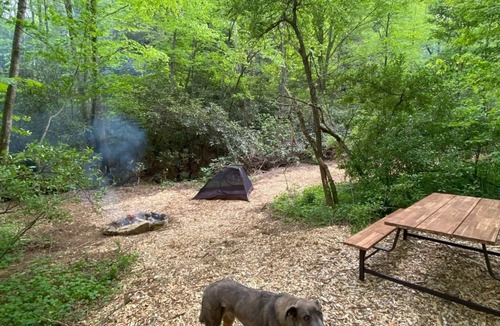 Zirconia RV Rental | Campsite 1 - Creekside on 38 acres -biking and hiking trails