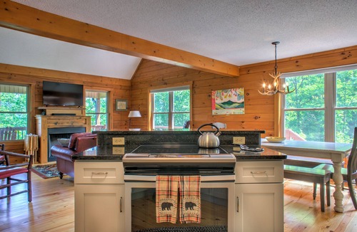 Candler Cabin | Candyland Cabin | Game Room + Fire Pit & Views 🔥⛰️ + Biltmore Pass