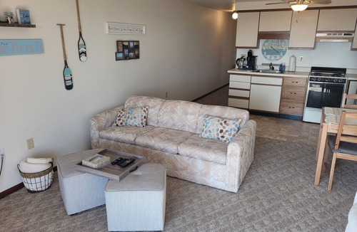 Oscoda Condo | Carpe Diem 365 - Very Cute Lakefront Condo with Private Beach!