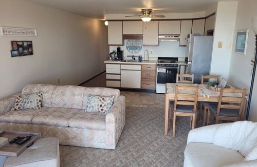 Oscoda Condo | Carpe Diem 365 - Very Cute Lakefront Condo with Private Beach!