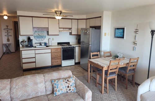 Oscoda Condo | Carpe Diem 365 - Very Cute Lakefront Condo with Private Beach!