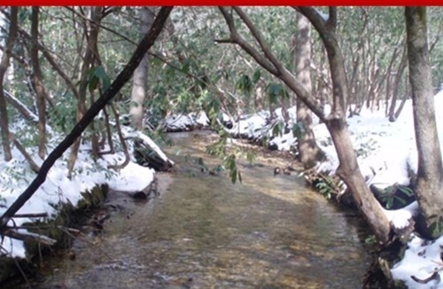 Sapphire Cottage | Cashiers - Lonesome Valley - Streamside Cottage nestled in 800 acre valley.
