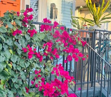 Seventh Ward Apartment | Charming Creole Cottage near French Quarter