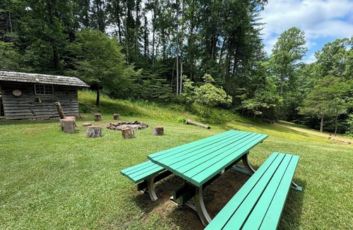 Franklin Cabin | Charming & Historical 3-bedroom cabin in marvelous Franklin with AC, fast WiFi
