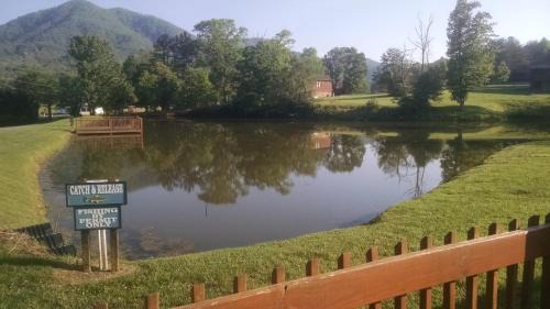 Smoky Mountains Ski Chalet | Chasing Butterflies Treehouse, Hot Tub, WIFI, As seen on Barnwood Builders!