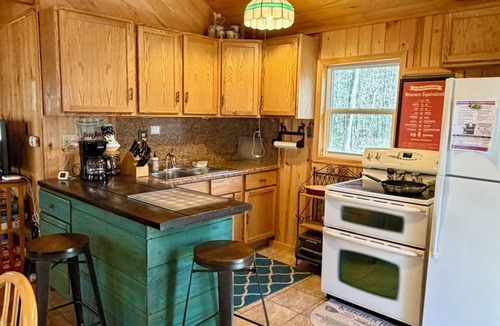 Winter Cabin | Classic Rustic Lakeside Cabin Retreat. Sleeps 6. Pets allowed.