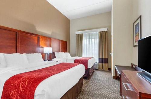Smyrna Hotel | Comfort Suites Smyrna - Nashville Area