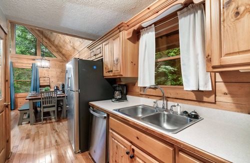 Black Bear Falls Cabin | Community Pool! Close to Gburg & Hiking!