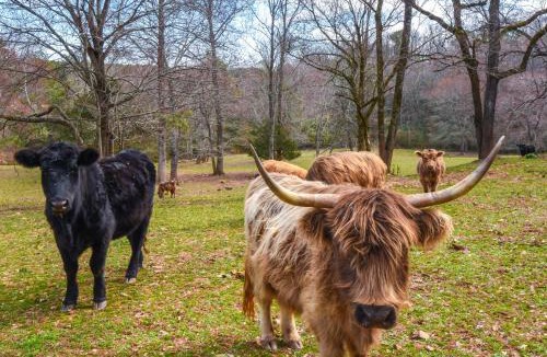 Clarkesville House | Converted Barn Couple's Oasis Near Tallulah Gorge