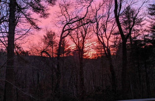 Lake Sequoyah House | Couples Retreat - Secluded Mountain Home Minutes From Main Street!