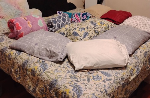 Vine Bed & Breakfast | Cozy 1-bedroom bed & breakfast in peaceful Kalamazoo with AC