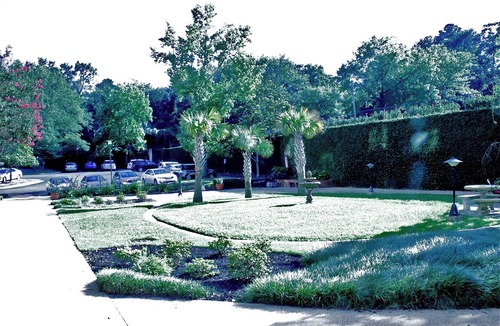 Columbia Condo | Cozy 1-bedroom condo in convenient to all things Columbia, SC