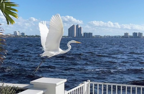 Fort Myers Condo | Cozy 2-bedroom condo with AC in tranquil North Fort Myers