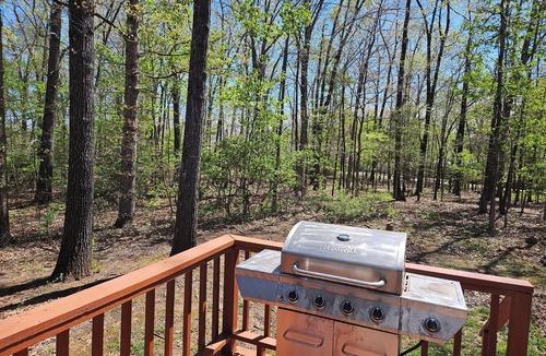 Bull Shoals Cabin | Cozy 3 bedroom/2Full Bath-Perfect Fisherman's Cabin