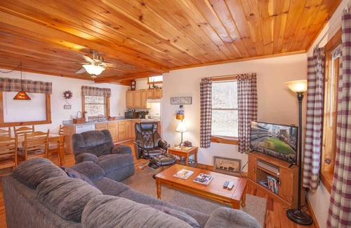 Todd Cottage | Cozy 3BR Cabin w/Long-Range Views, Hot Tub & Dog-Friendly