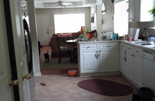 Pelham House | Cozy Beautiful private bedroom bathroom kitchen located in safe neighbor hood...